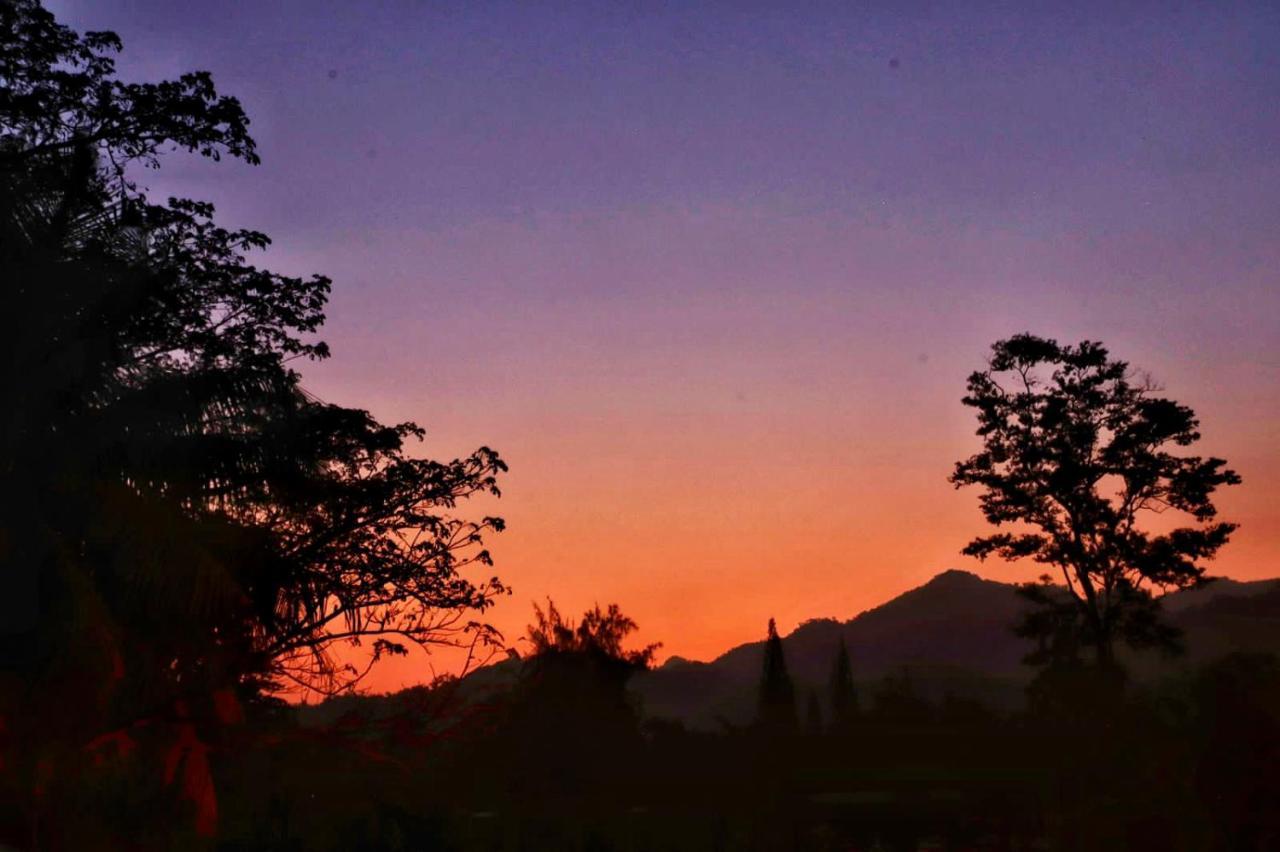 Sunset Hut Hostel Omoa Dış mekan fotoğraf